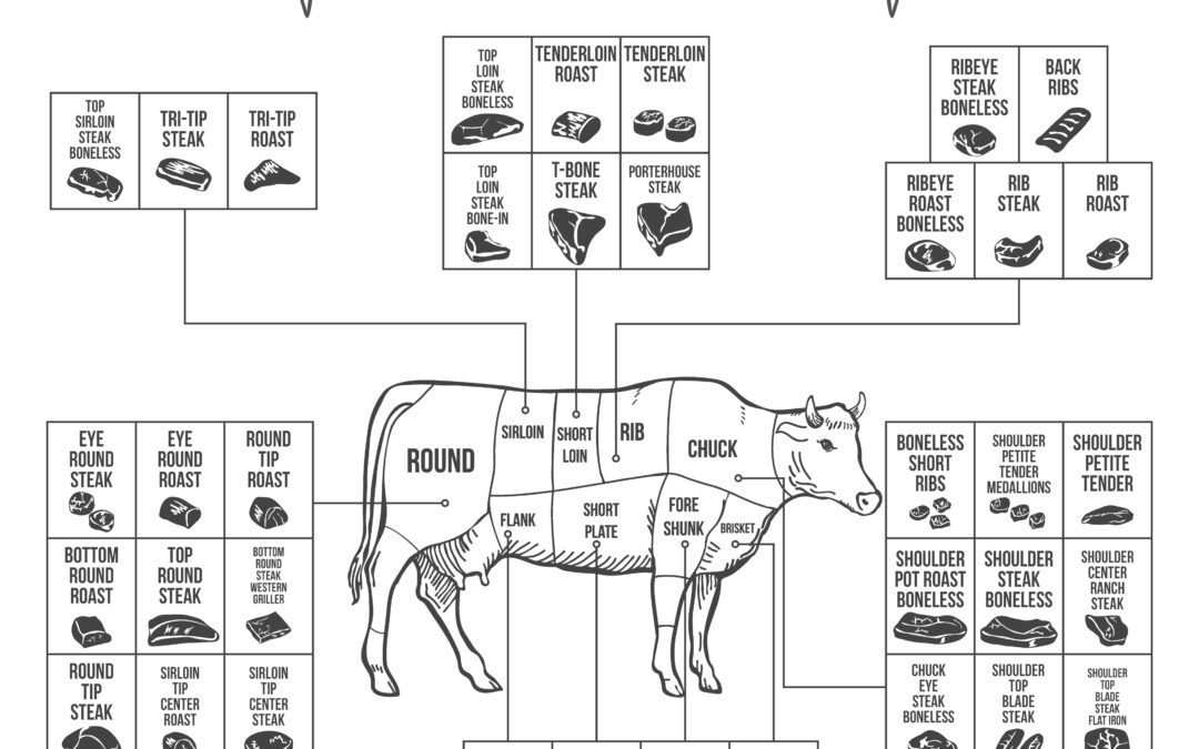 Beef Cut Basics - Marconda's