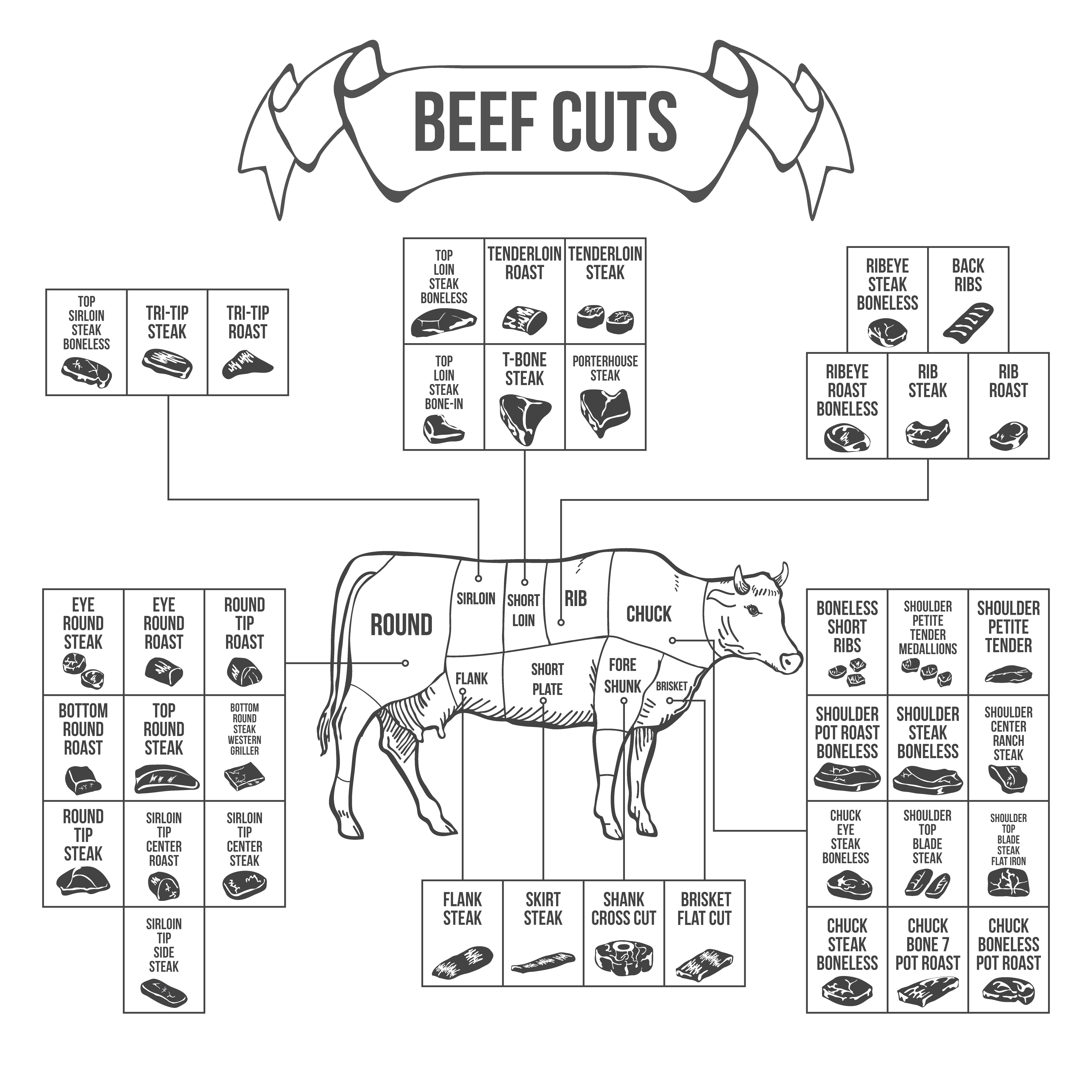 Printable Beef Cut Sheet Printable Word Searches